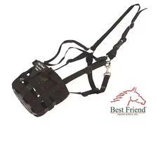 BEST FRIENDS 1944-D Have A Heart Muzzle DRAFT