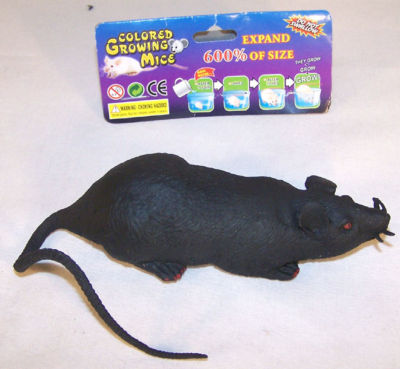 2 BLACK JUMBO GROWING MICE mouse rat grow toys novelty halloween