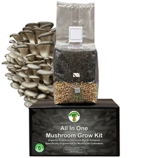 MycoHaus All in One 5 Pound Spawn Bag Rye & Compost Mushroom Substrate Grow Kit