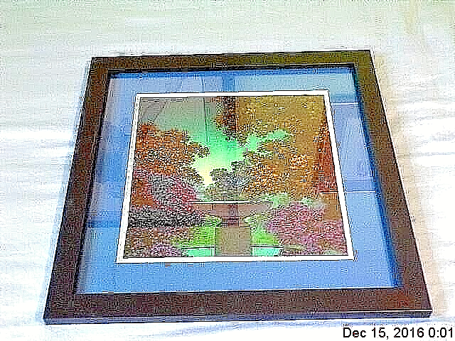 Picture 5 of 12