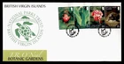 DR WHO 2009 BRITISH VIRGIN ISLANDS FDC BOTANIC GARDEN FLOWER/TURTLE COMBO R65660