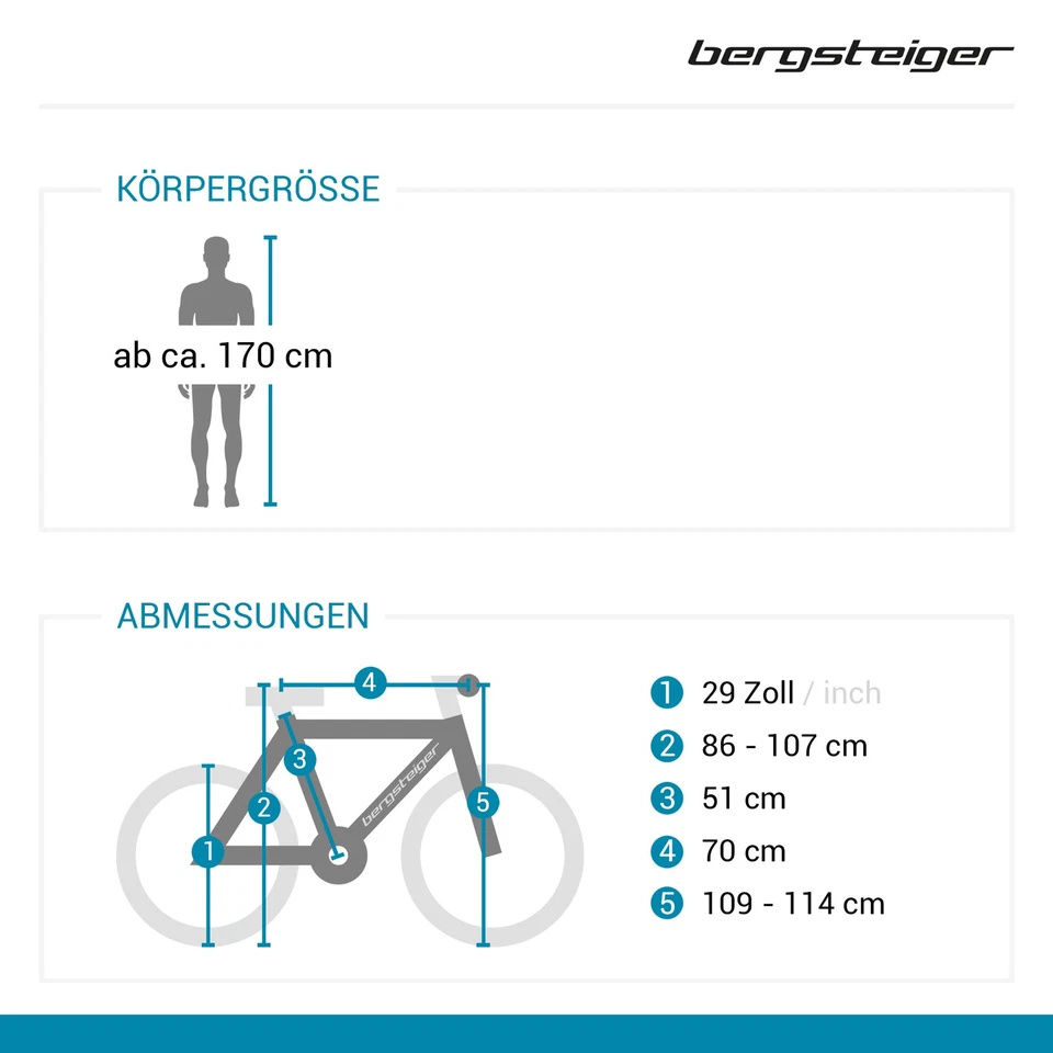 29 Zoll Mountainbike Bergsteiger Detroit 21 Shimano Scheibenbremsen MTB B-WARE - Bild 2 von 4