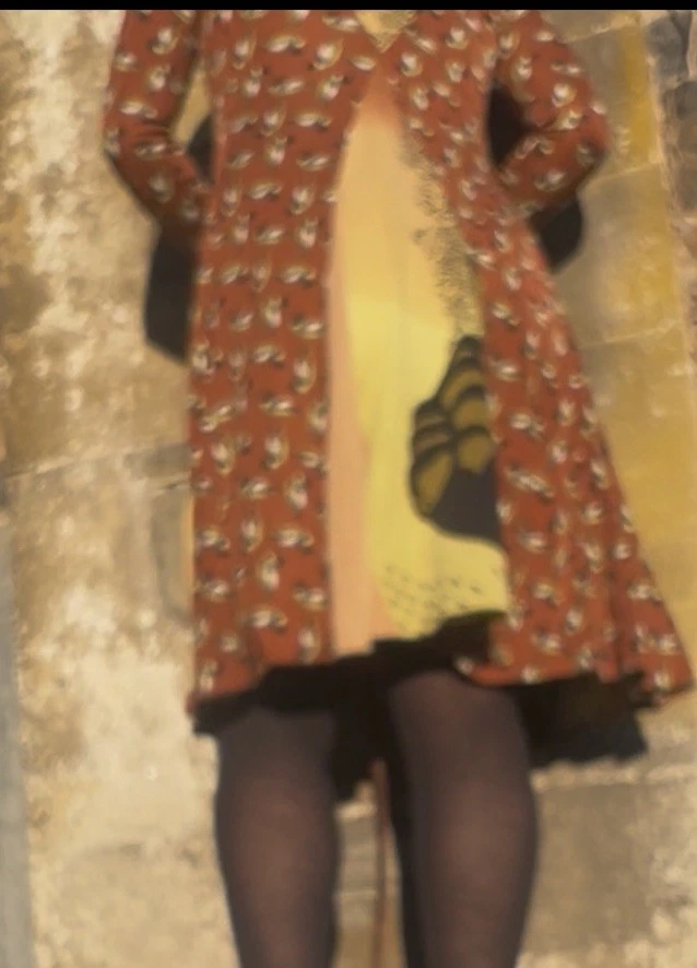 New!Exquisite Issa London Dress Butterfly Botanical silk wrap dress UK10 - Image 3 of 4