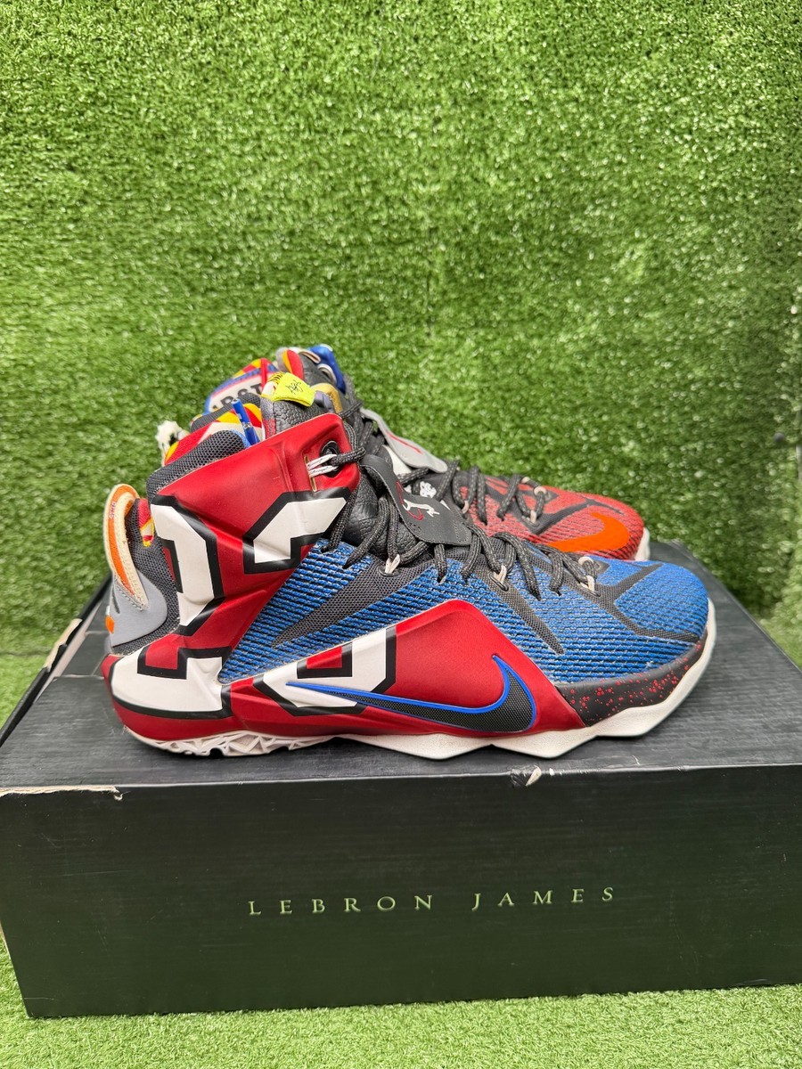 Size 10.5 - Nike LeBron 12 SE What The | eBay