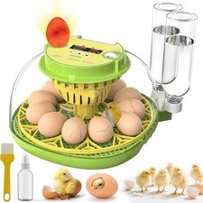 Incubators for Hatching Eggs,12Egg Incubator with Automatic Egg Turning and ...