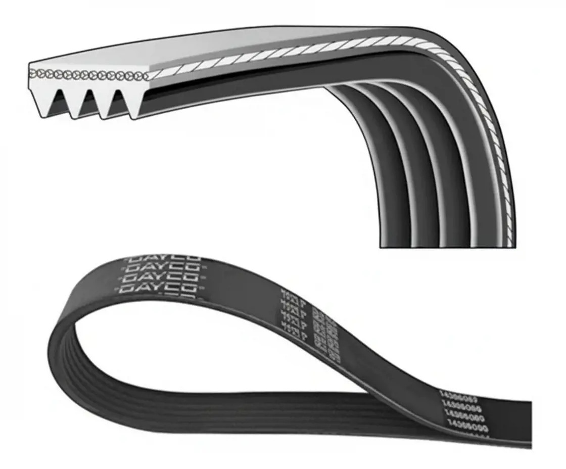 DAYCO 4PK895 Cinghia Poly-V - Immagine 2