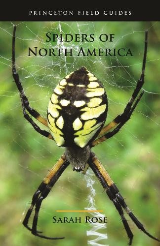 Spiders of North America by Sarah Rose, Eric R. Eaton - - Image 2