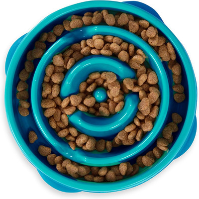 Medium Slow Feeder Bowl, Puzzle Maze for Fast Eaters, Small to Medium Dogs, Help
