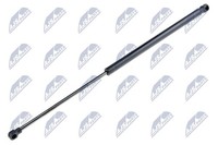 NTY Heckklappen DäMpfer Gasfeder Kofferraum AE-SE-008 FüR Seat Ibiza 4 6J5 6P1