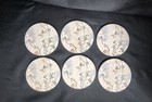 Six Absorbent Stone Coasters Delicate Botanical Floral Design By Encore — photo 1