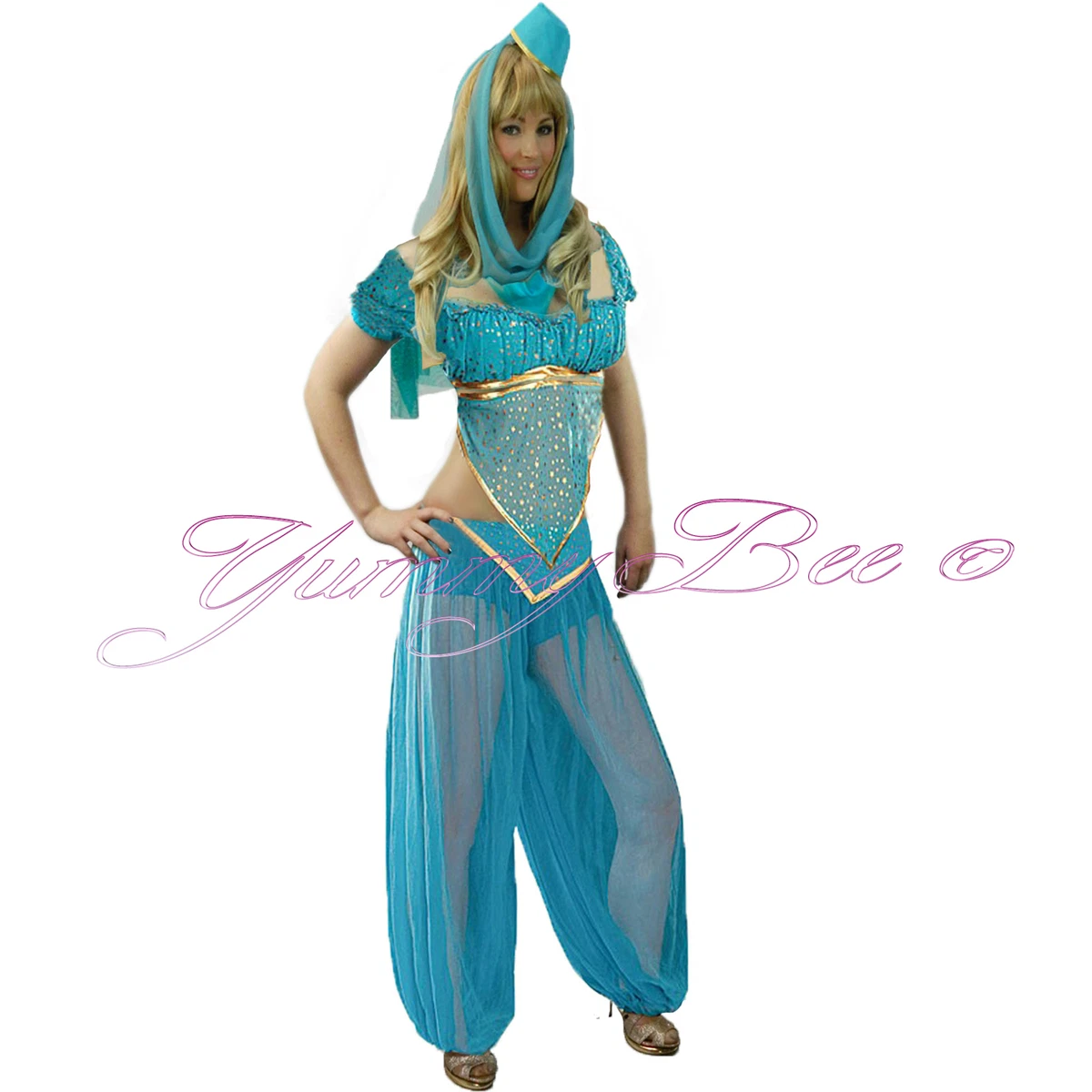 Princess Costume Women Fancy Dress Belly Dancer Arabian Bollywood Size 6 18 Sexy