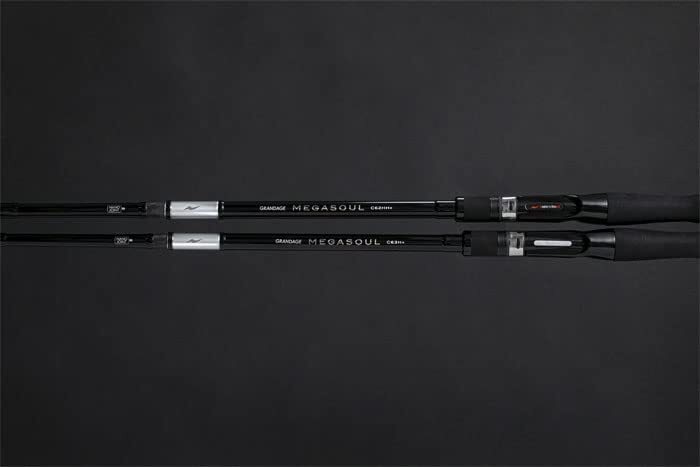 ロッド APIA GRANDAGE MEGASOUL C62HH + s-l400.jpg