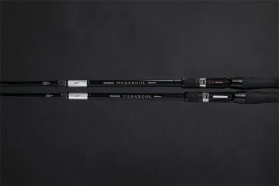Apia 22 Grandage Megasoul C62HH Plus Seabass Bait casting
