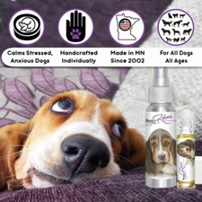 Basset Hound Relax Dog Aromatherapy  Calms Your Stressed Anxious Dog Naturally