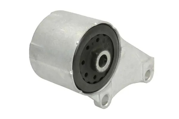 Reinhoch Sospensione, Motore Rh12-0013 - Immagine 2