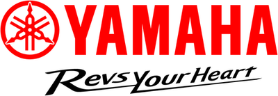 Yamaha F2.5A F2.5B 2.5hp 4-Stroke Outboard Carburetor Repair Kit