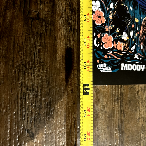 Signed Hozier Official Austin, Tx 2024 Tour Poster w Proof (Autograph NOT Vinyl) - Picture 7 of 9