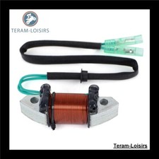 Stator Alternator For Yamaha P50 S / L (PRO) From 1989 To 1994
