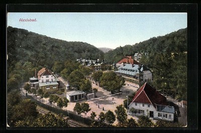 Ansichtskarte Alexisbad, Blick über die Ortschaft 