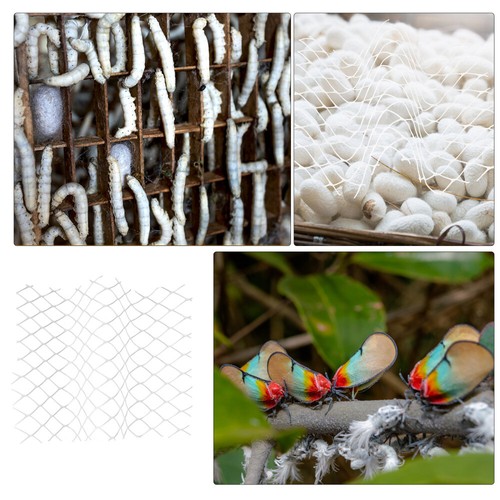 Plant Climbing Support Net Sericulture Netting Garden Mesh Fencing - 第 7/12 張圖片