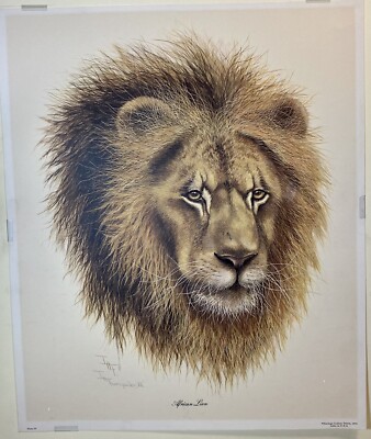 Imogene Farnsworth African Lion Lithograph Unnumbered, 1975