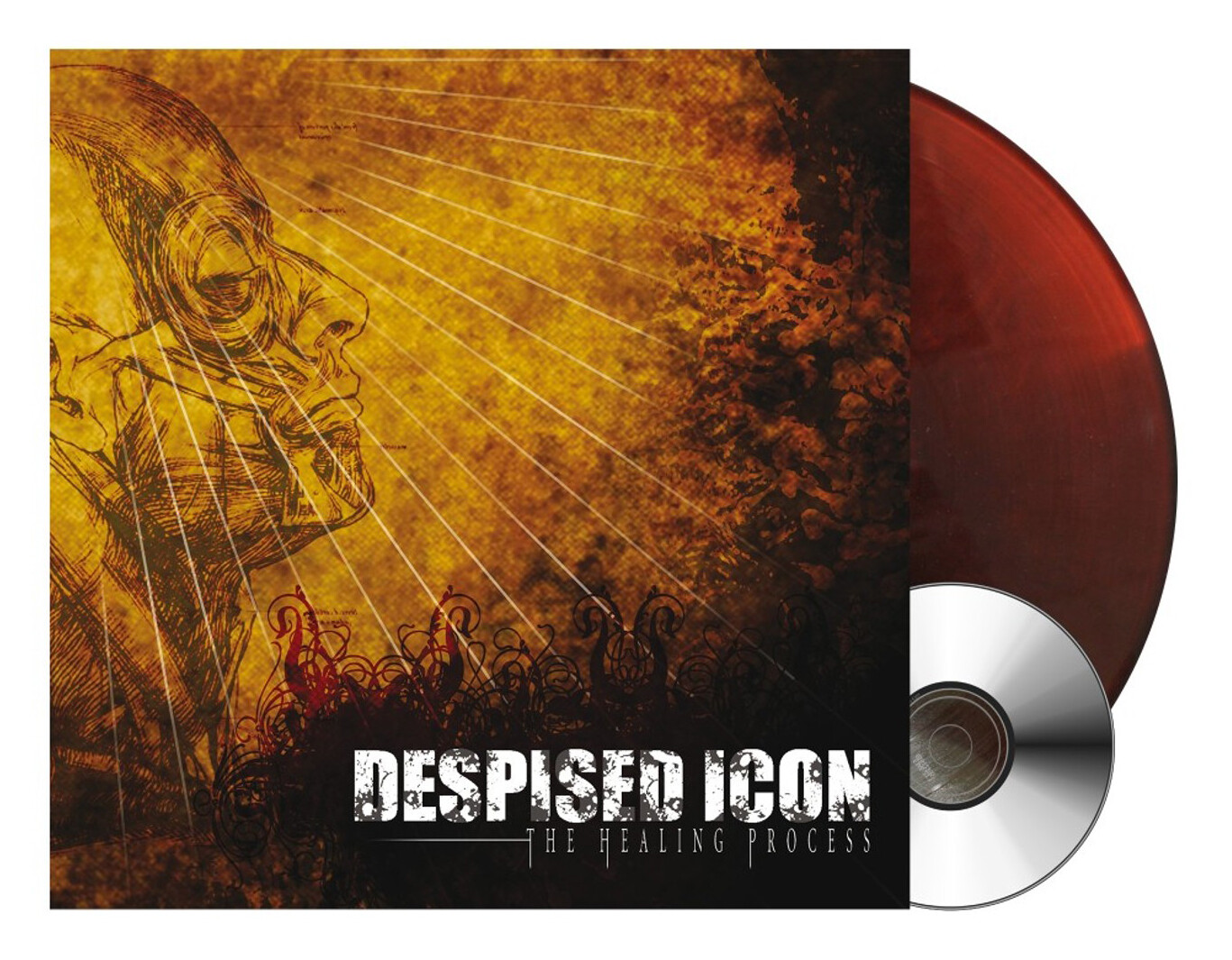 The Healing Process (Alternate Mix-Re-Issue + Bones 2022) by Despised Icon (Record, 2022)