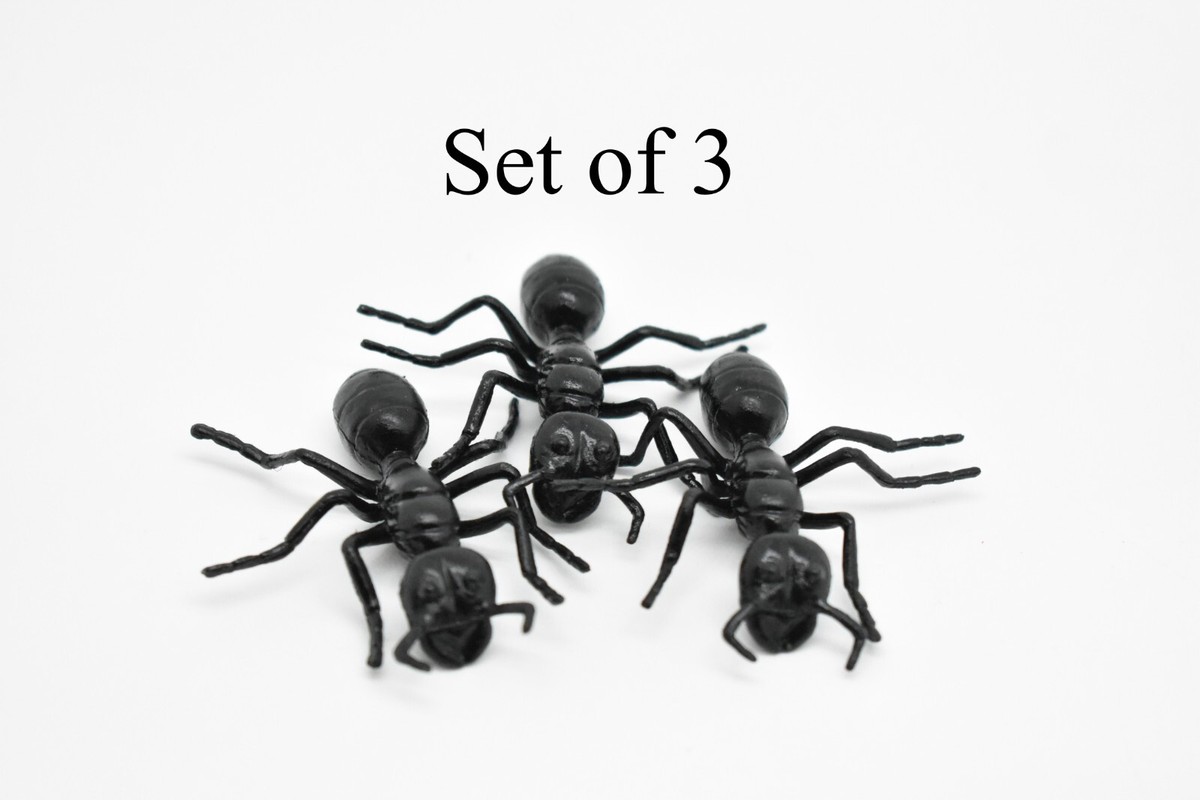 Original, The After Years 40 Unbelievable 【R&B】Ant Ant Spectrum To Coming Is 2 Attack 洋楽