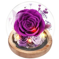 Preserved Roses Flowers for Delivery, Mothers Day Rose Gifts for Her, Purple ...