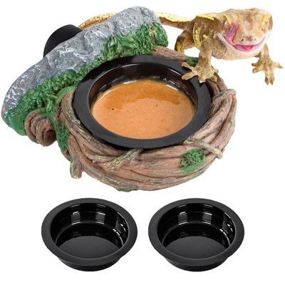 Natural Magnetic Reptile Feeding Ledge Single Gecko Feeder