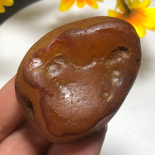 92g Bonsai Suiseki-Natural Gobi Agate Eyes Stone-Rare Stunning Viewing-E5 - Bild 5 von 20