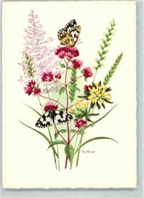 39620434 - Damboard butterfly on flowering Dost art publisher Felix Korn no. 1970