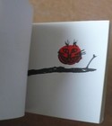 Bild 5 von 8