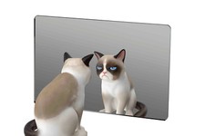 6 Pack 3" x 5" Acrylic Mirror Sheet for Replacement or DIY Crafts