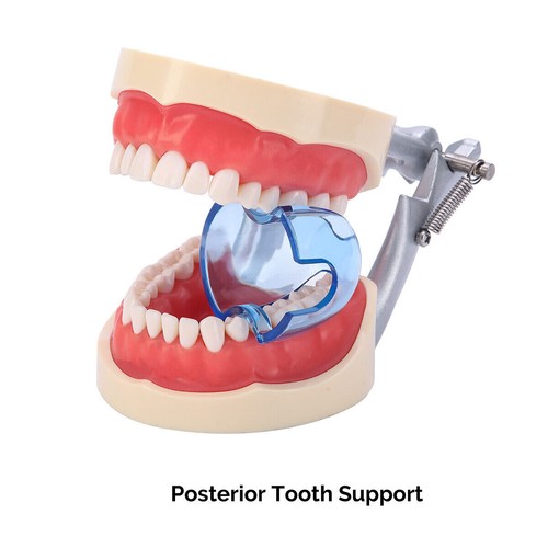 Dental Cheek Retractor Mouth Opener Lip Hooks Bite Props Retractors Right Clear - Picture 26 of 50