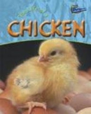 Life of a Chicken Hardcover Clare Hibbert