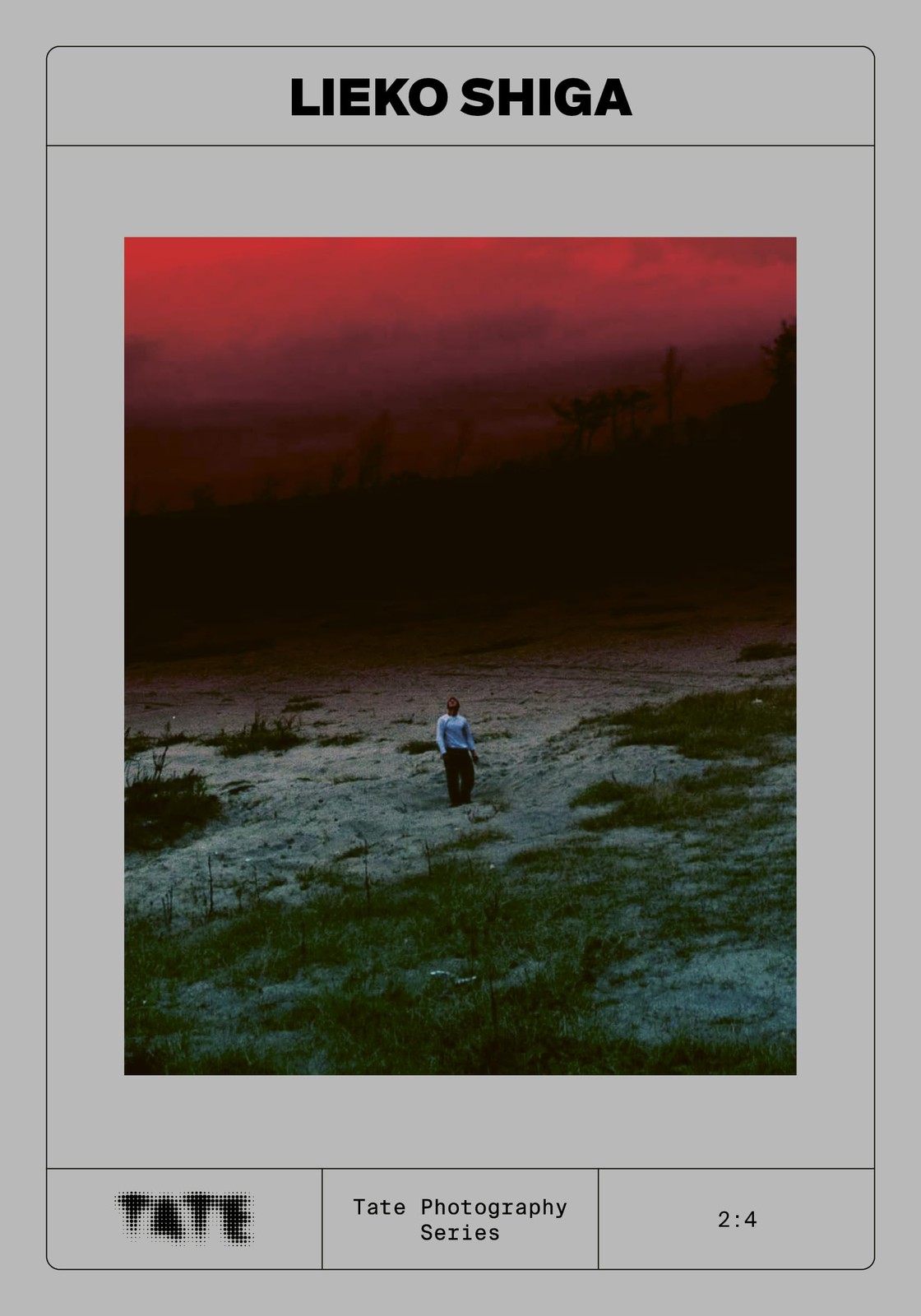 Tate Photography: Lieko Shiga by Jess Baxter PAPERBACK - Image 5
