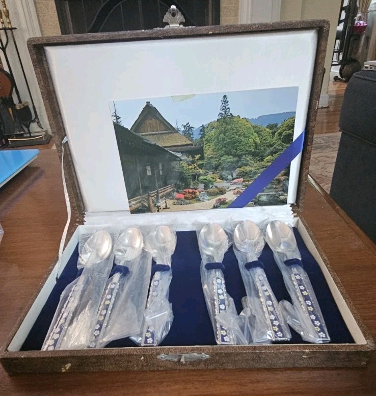 Cloisonne Blue Enamel 6 piece Spoon Set With Case, Made In Japan w/history card