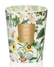 Sage Citrus Summer Scented Candle, 14.1oz Non Natural Soy Wax Candle for Home...