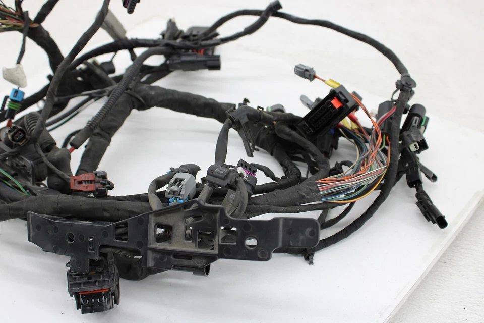 2018-2020 Harley Softail Man Wiring Harness With ABS - Image 4 of 4