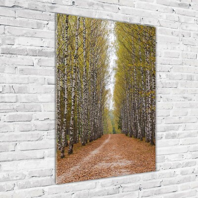 Wandbild Druck auf Plexiglas  Acryl Hochformat 70x100 Birkenwald