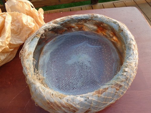 Sombrero de señora vintage de 1950 y caja original Sears Roebuck & Co. - Imagen 6 de 12