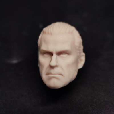 1/12 1/18 1/24 Ray Stevenson Head Sculpt Carved For Male Action Figure Body Toys