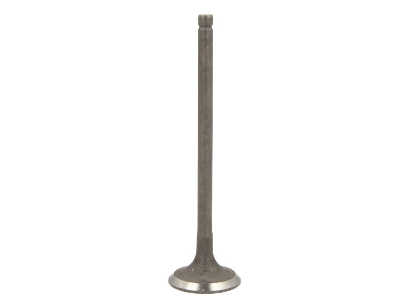 Soupape d'émission FRECCIA R6569/RNT pour HYUNDAI ATOS MX 1.1