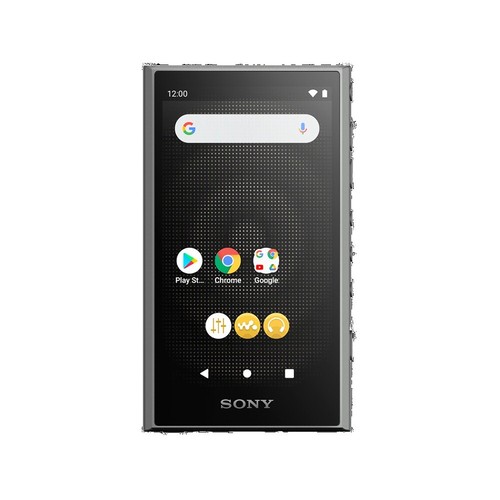 SONY Walkman with Bluetooth Wireless Technology NW-WS623 4GB Black