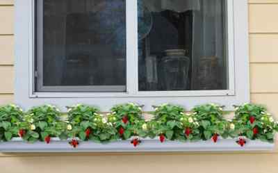 Royal Brown (Dark Brown / Red Tint) 6'' wide window flower box planter 4' long