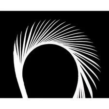 GOOSE BIOTS - 5 pc - WHITE - Fly Tying Materials - Natural - Wings - Tails - NEW