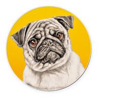 PUG DOG PET ANIMAL Large Charm Pendant on 925 Silver 20" Necklace women men