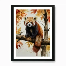 Red Panda 4 Art Print Framed Wall Art Poster Canvas Print Picture