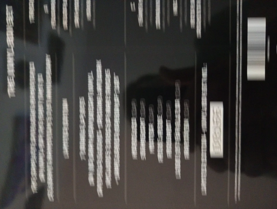 Rammstein XXI – Das Vinyl-Box-Set limitiert Nr. 8166 wie neu nie abgespielt RAR - Image 3 of 4