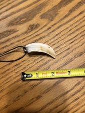 Arkansas Wild Razorback Tooth Pendant Necklace ( #9)